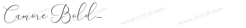 Camore Bold字体转换